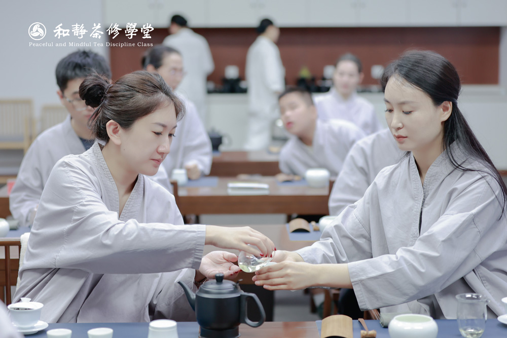 《茶修着》一段